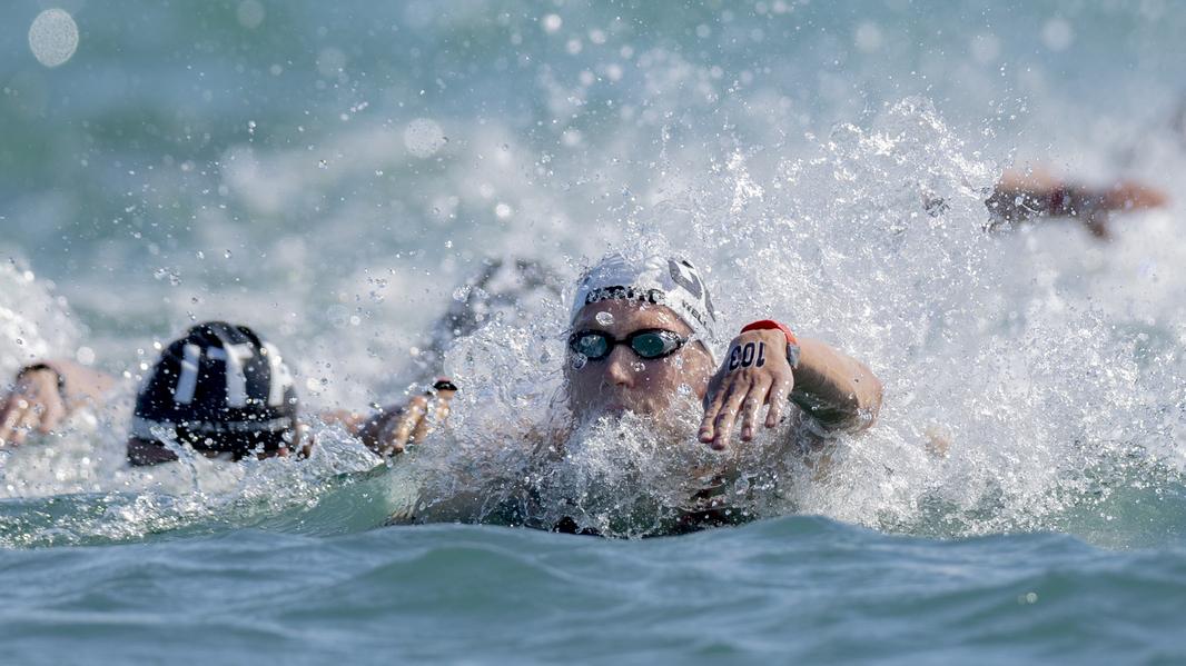 Freiwasserschwimmer beim 10km-Rennen in Doha.